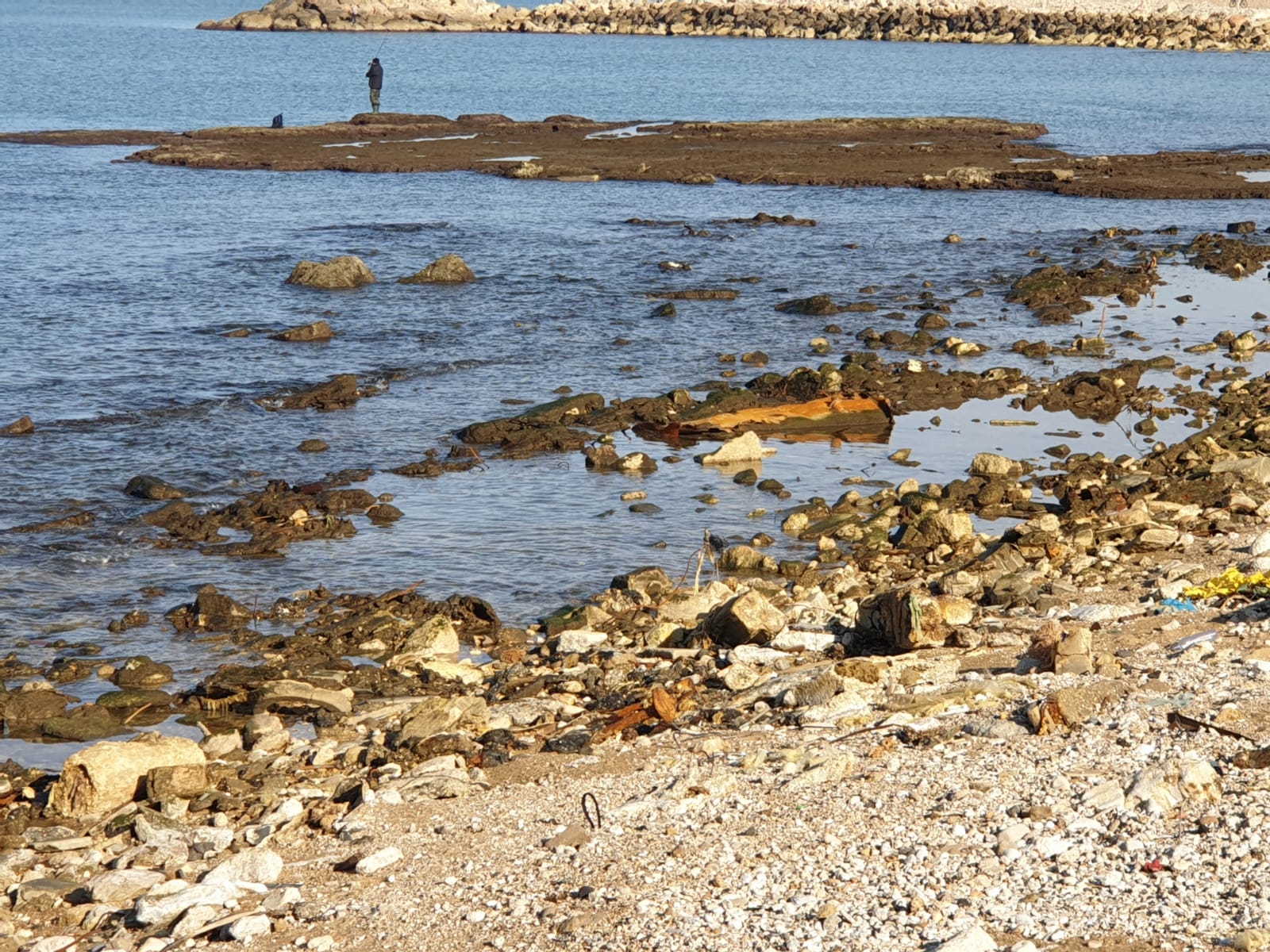 WhatsApp Image 2020-01-27 at 9.05.20 AM.jpeg.jpeg